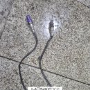 몽키2모터스 이미지