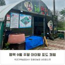 교육청사거리 | 평택 주말 아이랑 킹콩이농장 포도따기 체험 후기