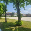 극락초교 이미지