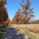 아름드리공원 화장실 이미지