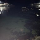 스담스테이 이미지