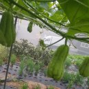 조리농업협동조합 이미지