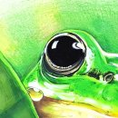 창조의아침미술학원 이미지