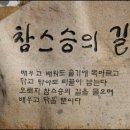 경북대학교 캠퍼스 이미지