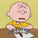 PC스타그램 이미지