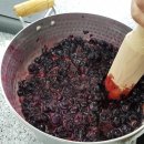 깊은샘블루베리농장 이미지