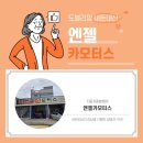 엔젤카센타 이미지