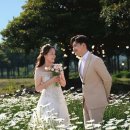 "드라마 풍경에 푹"... 웨딩 촬영하러 한국 오는 외국인 이미지