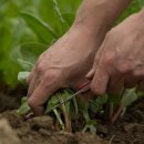 명상 - 자연 이미지