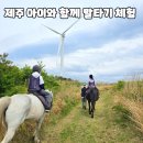제주 말타기 체험 조천 가시리마을 조랑말체험공원 리얼 후기