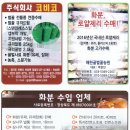 제일양봉원 - 울진군 평해로 31 | 제일양봉원