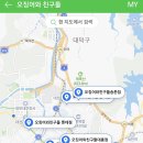 오징어 와 친구들 이미지