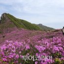 산청 - 순천시 율촌로 159 | 산청