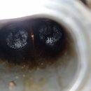 10년타기 정비센터 수유점 | 강북구수입차정비 전문 10년타기정비센터수유점