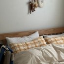 성도세탁 | 텐드리 그래핀 탄소매트, 전자파 없는 세탁 가능한 전기매트