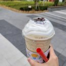 매머드익스프레스한라원앤원