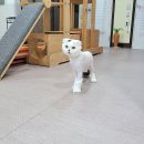 호텔 치즈 이미지