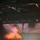이승윤 역성 전주 콘서트 후기, 풀을 먹고 행복하자