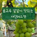 현희 농장 이미지