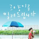 탐나는 고양이 이미지