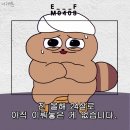 영남살롱