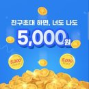 51푸드 이미지