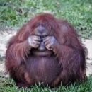 은은약국 이미지