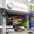 경기도 안산 수족관 베타 전문샵 요나쿠아 다녀왔어요~