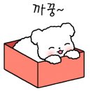 온파스타 이미지