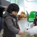 엘 미니동물원 이미지