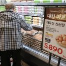 계란이왔어요 서울신문