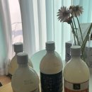 청정미나리영농조합법인 | 청정영농조합법인 전통주가 고흥 유자막걸리 유자향주 후기