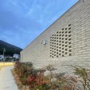 거제로펜션 | 거제 펜션 동백맨션 내돈내산 독채펜션 불멍 자쿠지 후기