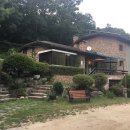 모닝펠리스 이미지