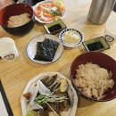 백수 적응기 🫠