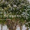 농업회사법인 (주)황칠코리아 이미지