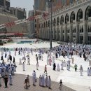 CRANE WORLD 이미지