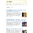 비즈아이티