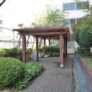 동수프라자주 이미지