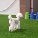 정성호텔 이미지