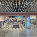 펫필드 동물병원 이미지