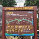 상수리뜰