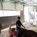 블루홀스 승마센터 이미지