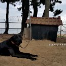 솔밭에덴하우스 이미지