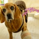 늘행복한농장 이미지