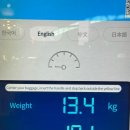 호텔 모닝캄 | 항공 탑승후기 CZ686 기내식 무료셔틀버스 모닝캄 혜택 노보텔 대련 중산 스퀘어 호텔 후기 novotel hotel