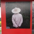 봉하마을 진영생태문화공원 이미지