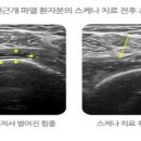 민도준류우마내과의원 이미지