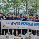 양구환경 이미지