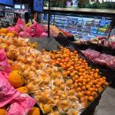 마켓바오 | 26.03.08 칭다오 DAY1 -완샹청(차 오브 율리안/바오스푸/올레마켓/라이프슈퍼)